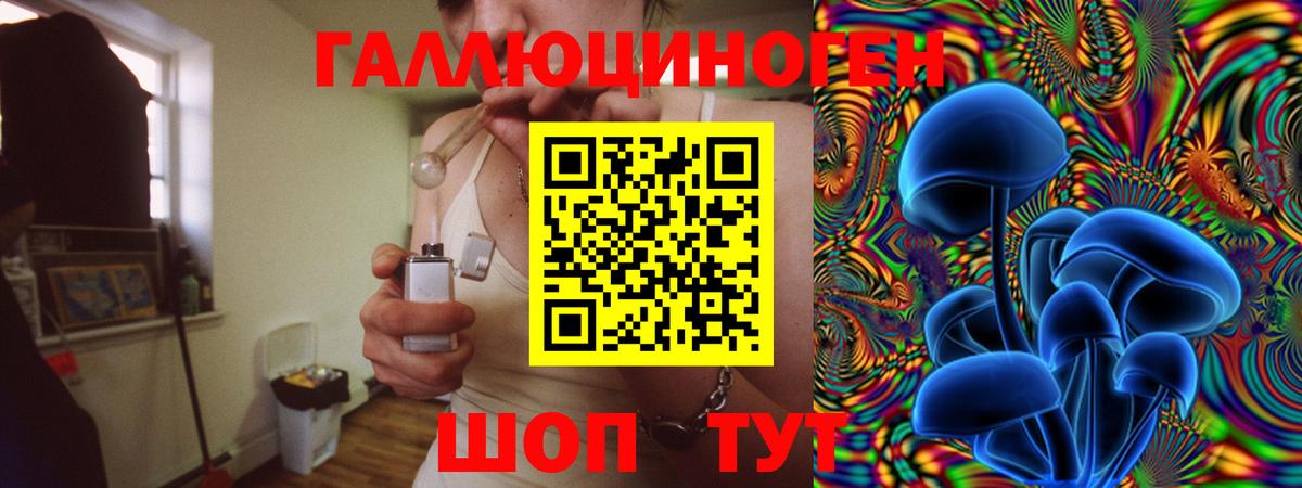 Псилоцибиновые грибы Magic Shrooms  Вход с VPN  Зеленогорск  Псилоцибиновые грибы ЛСД 