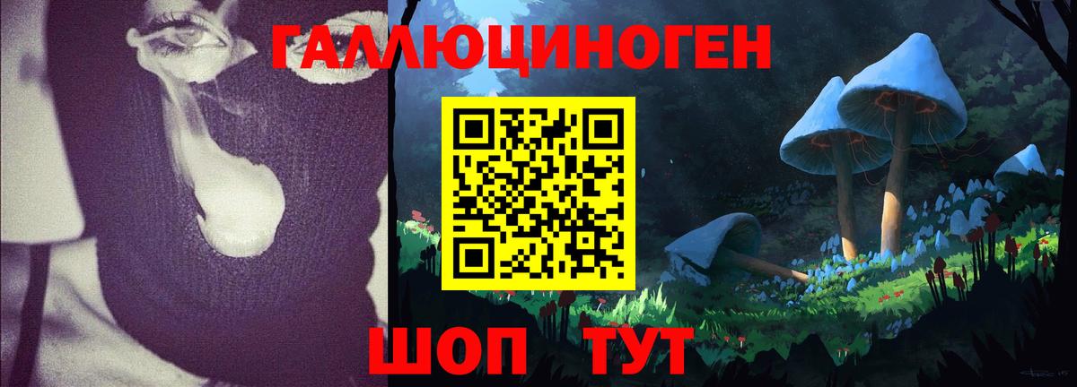 Галлюциногенные грибы GOLDEN TEACHER Зеленогорск